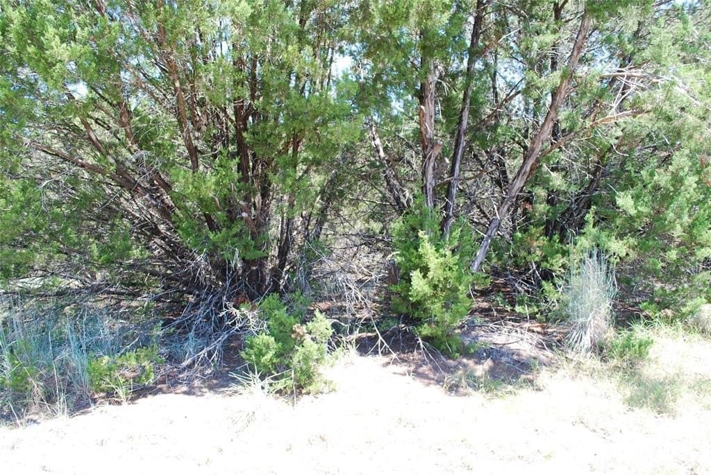 0.26 acres in Hill County - photo 2