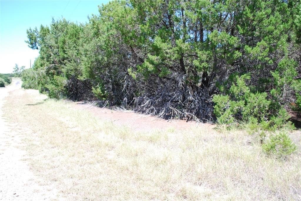 0.26 acres in Hill County - photo 3