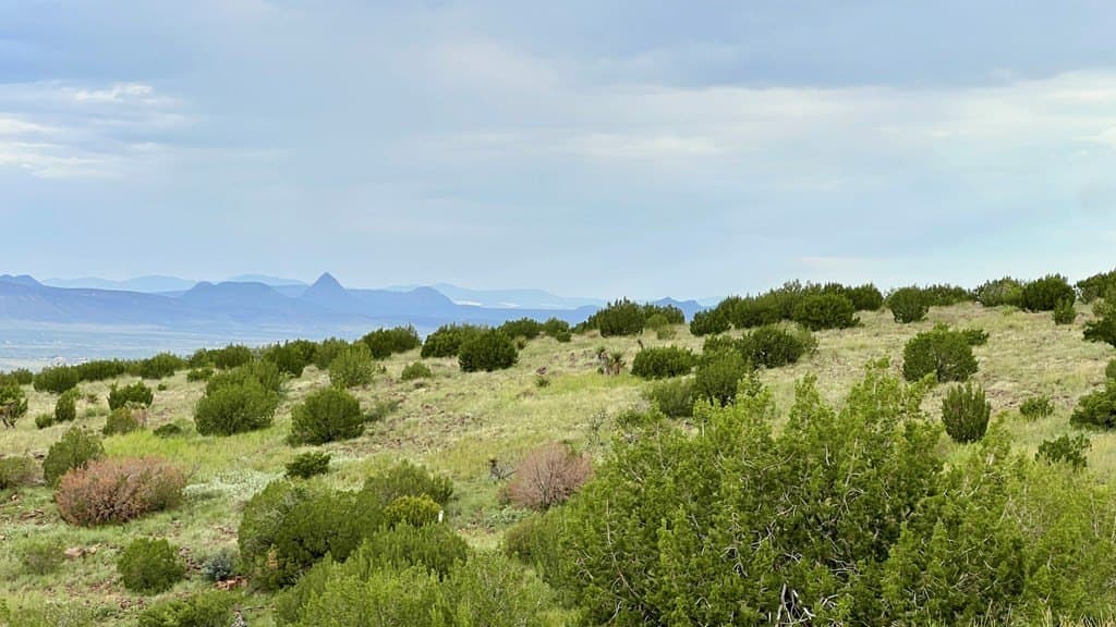 40.08 acres in Brewster County - photo 9