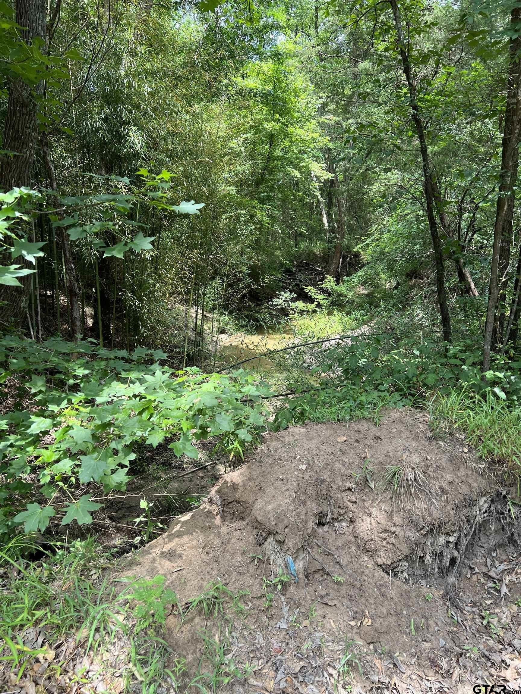 13.3 acres in Franklin County - photo 2