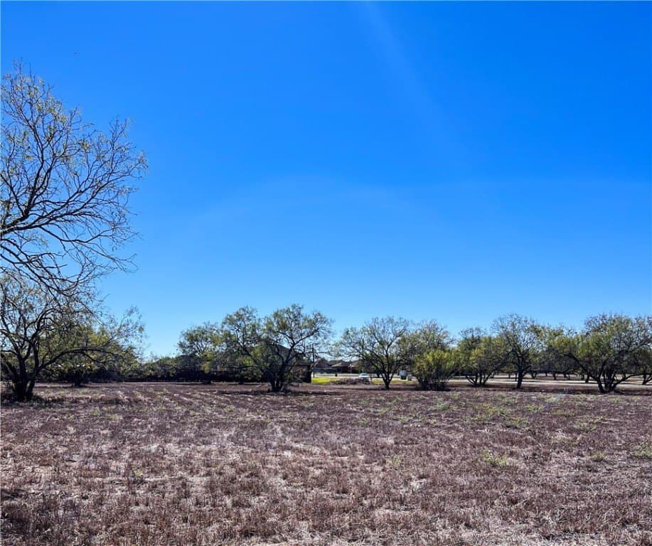 Fm 3376 lot: 11
