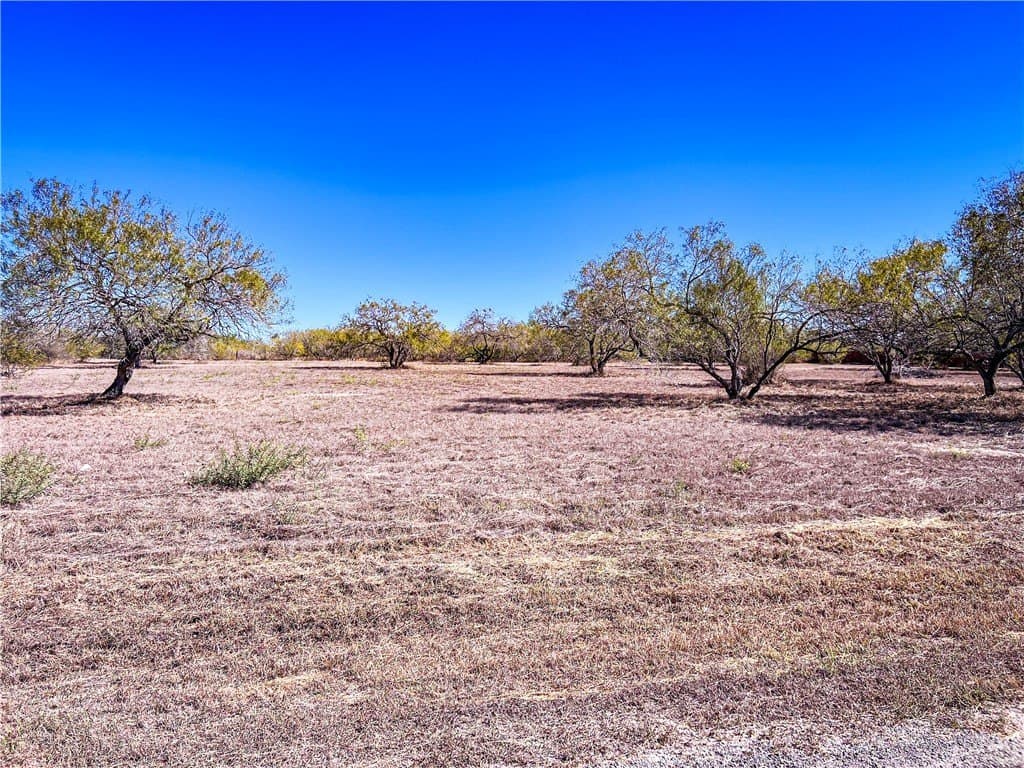 1 acres in Jim Wells County - photo 2