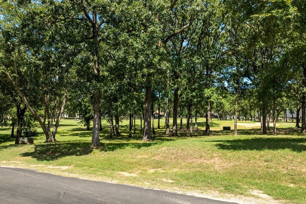 0.69 acres in Henderson County - photo 4
