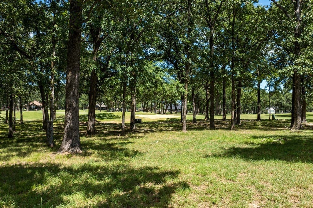 0.69 acres in Henderson County - photo 5