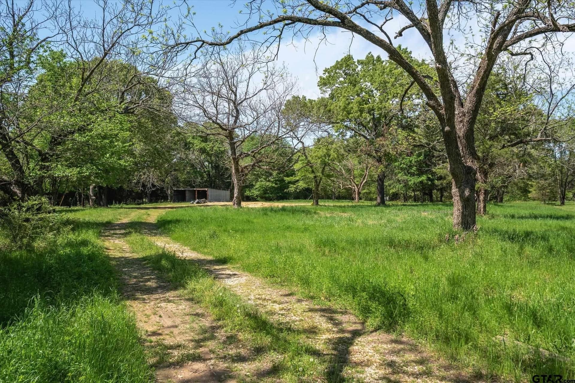 10 acres in Van Zandt County - photo 17