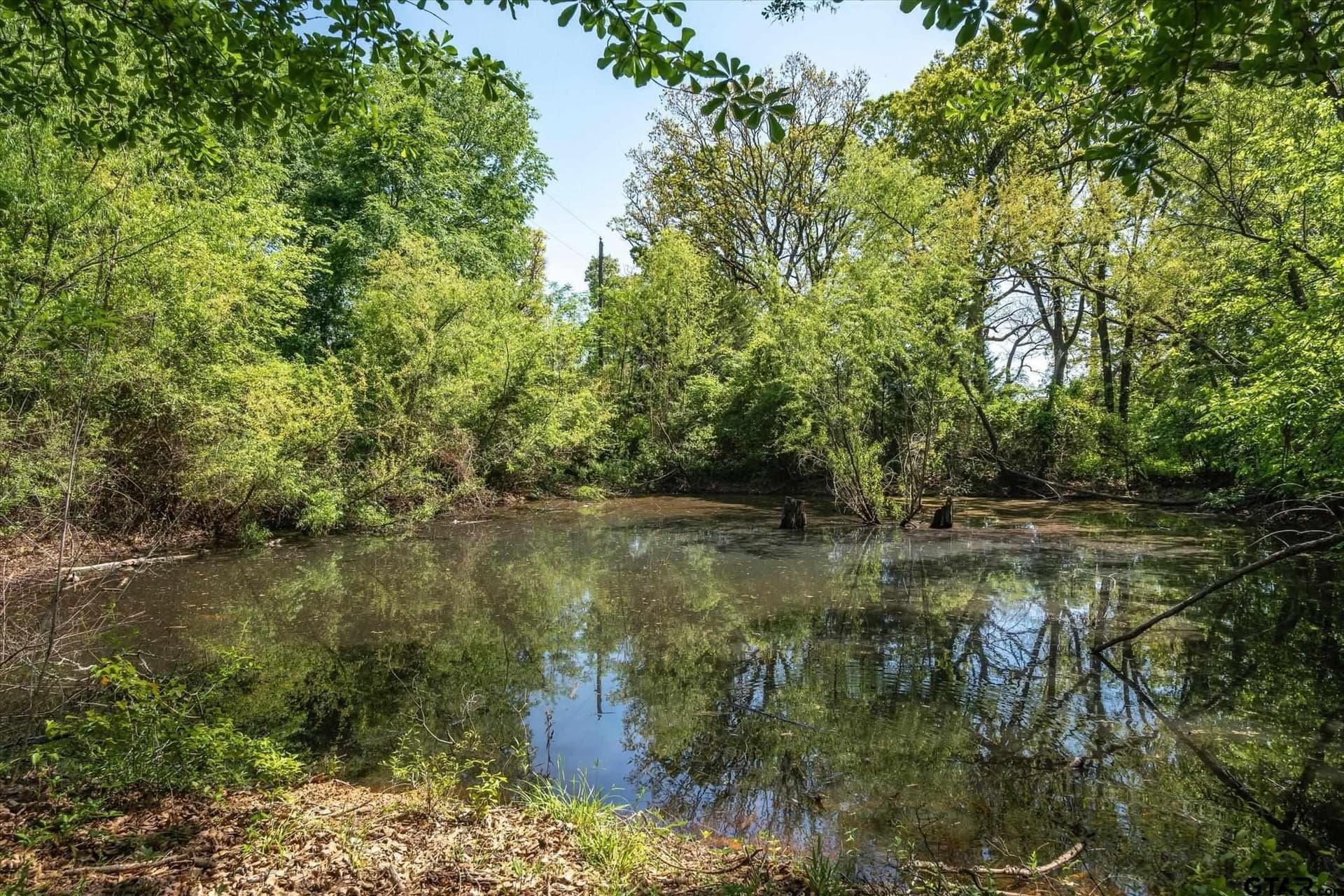 10 acres in Van Zandt County - photo 6