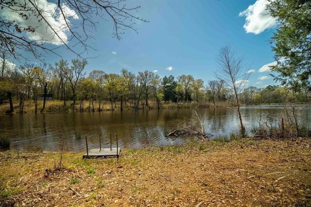 0.32 acres in Wood County - photo 5