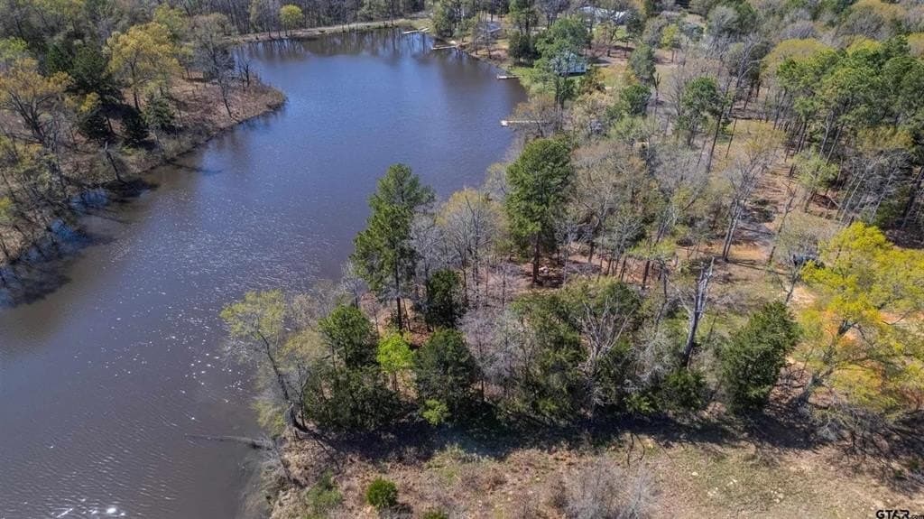0.32 acres in Wood County - photo 8