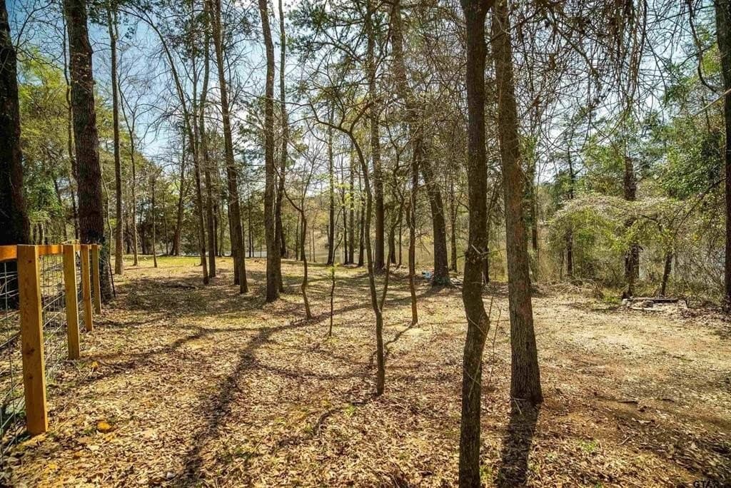 0.32 acres in Wood County - photo 3