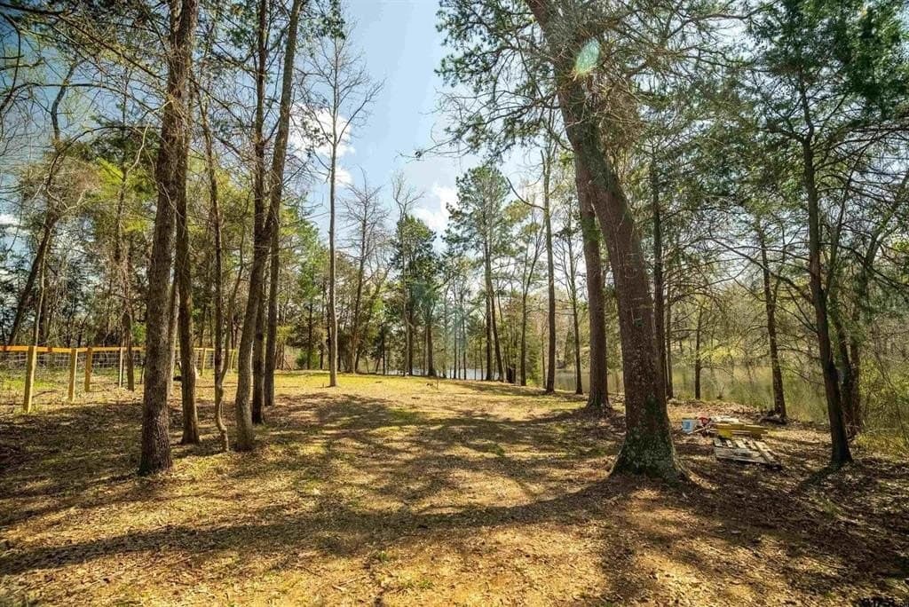 0.32 acres in Wood County - photo 2