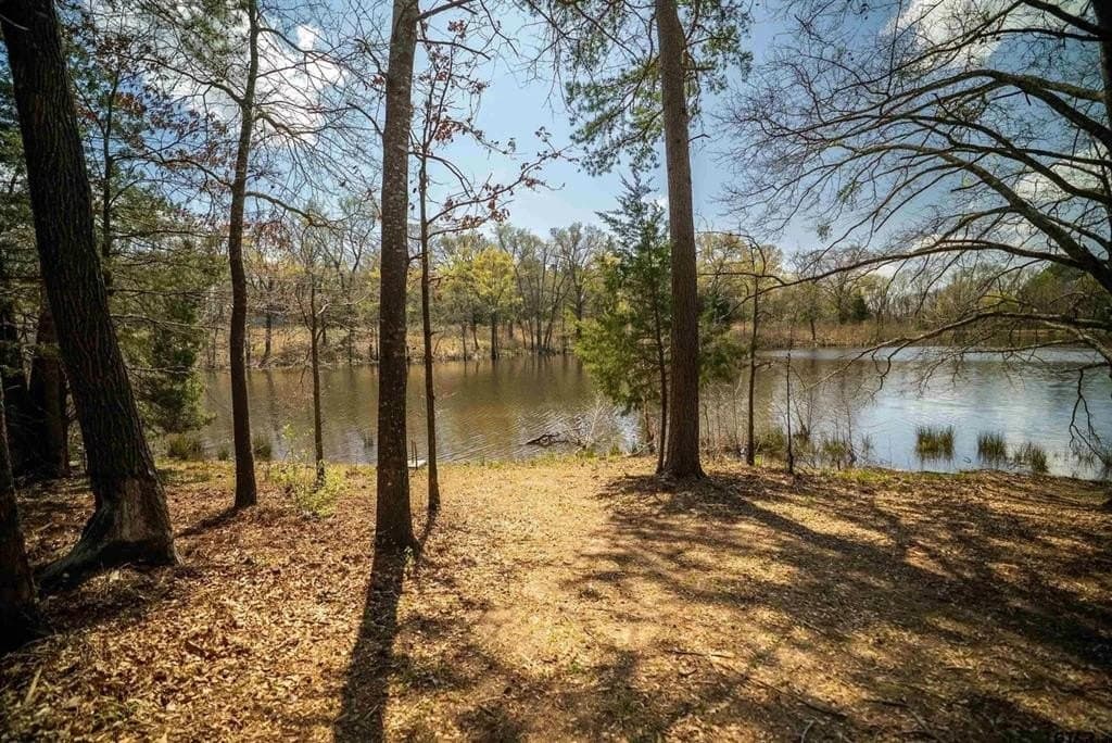 0.32 acres in Wood County - photo 4