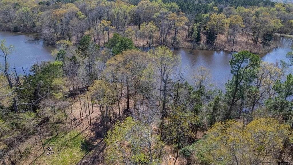 0.32 acres in Wood County - photo 6
