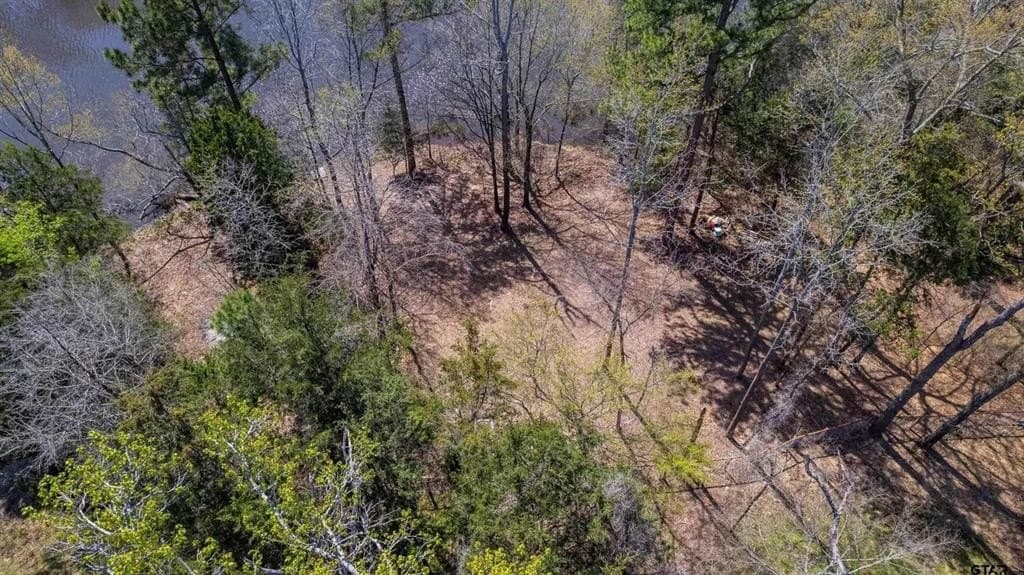 0.32 acres in Wood County - photo 10