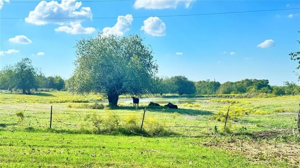 71 acres in Cooke County - photo 4