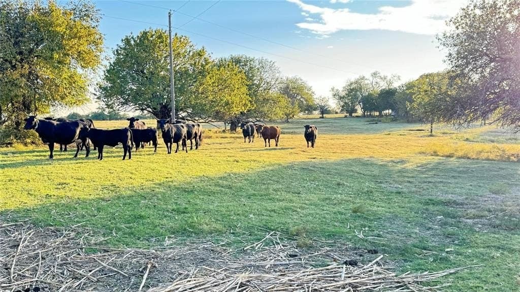 71 acres in Cooke County - photo 22