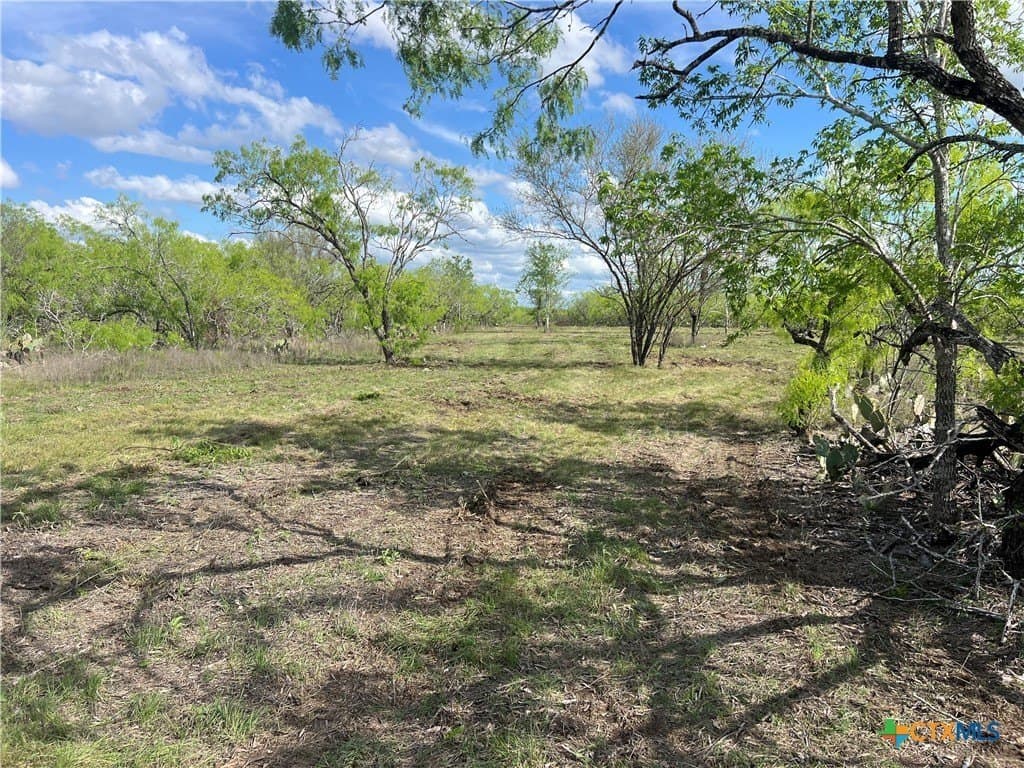 50.01 acres in Gonzales County - photo 2