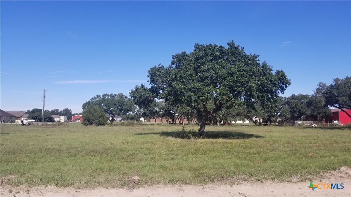 Enchanted Oaks
