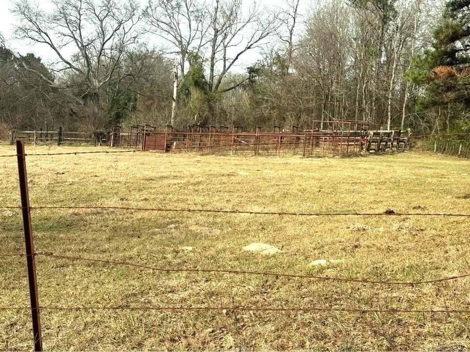 90.5 acres in Upshur County - photo 6