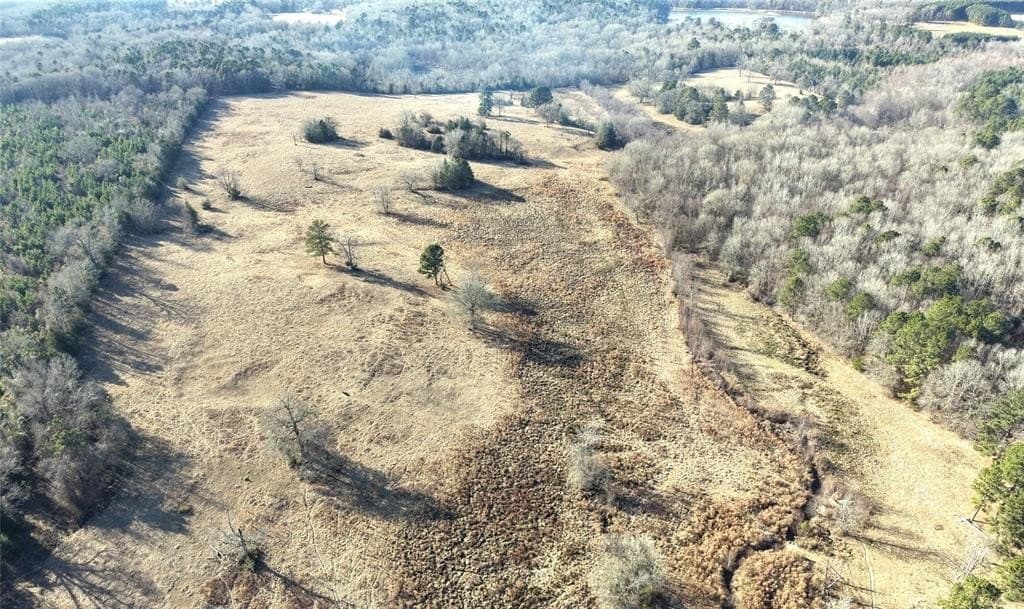 90.5 acres in Upshur County - photo 18