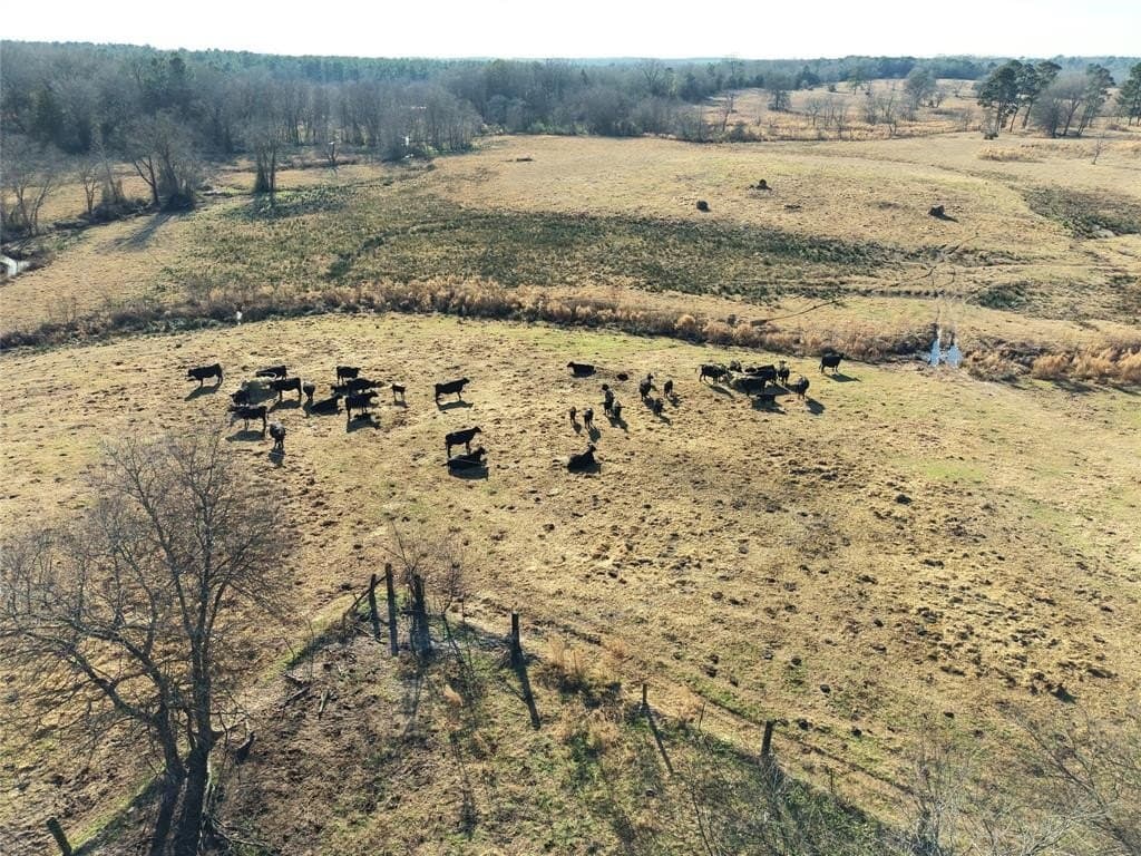 90.5 acres in Upshur County - photo 3