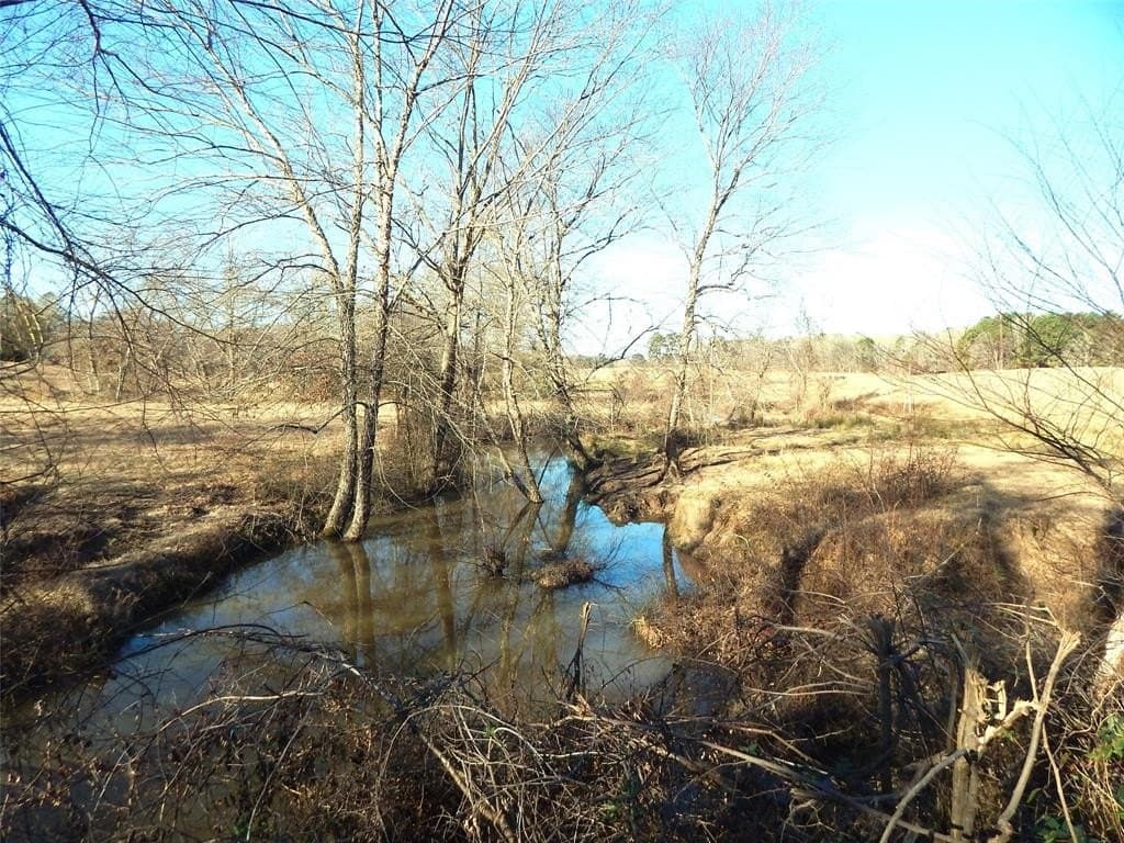 90.5 acres in Upshur County - photo 11