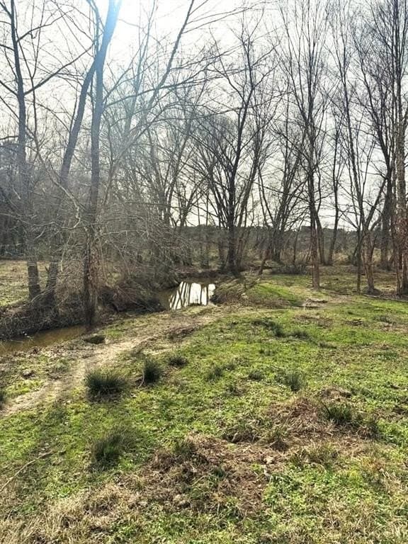 90.5 acres in Upshur County - photo 12