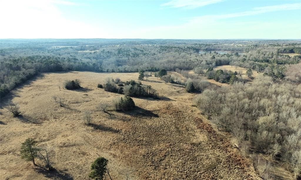 90.5 acres in Upshur County - photo 19