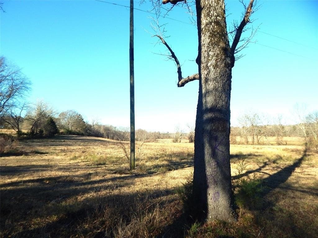 90.5 acres in Upshur County - photo 25