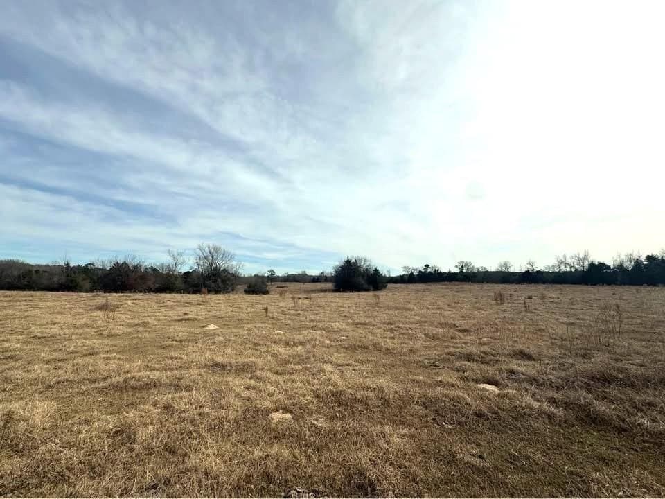 90.5 acres in Upshur County - photo 16