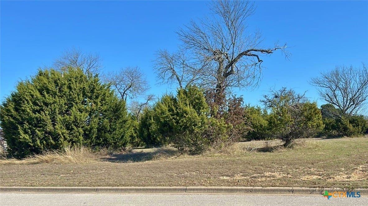 1.03 acres in Bell County - photo 2