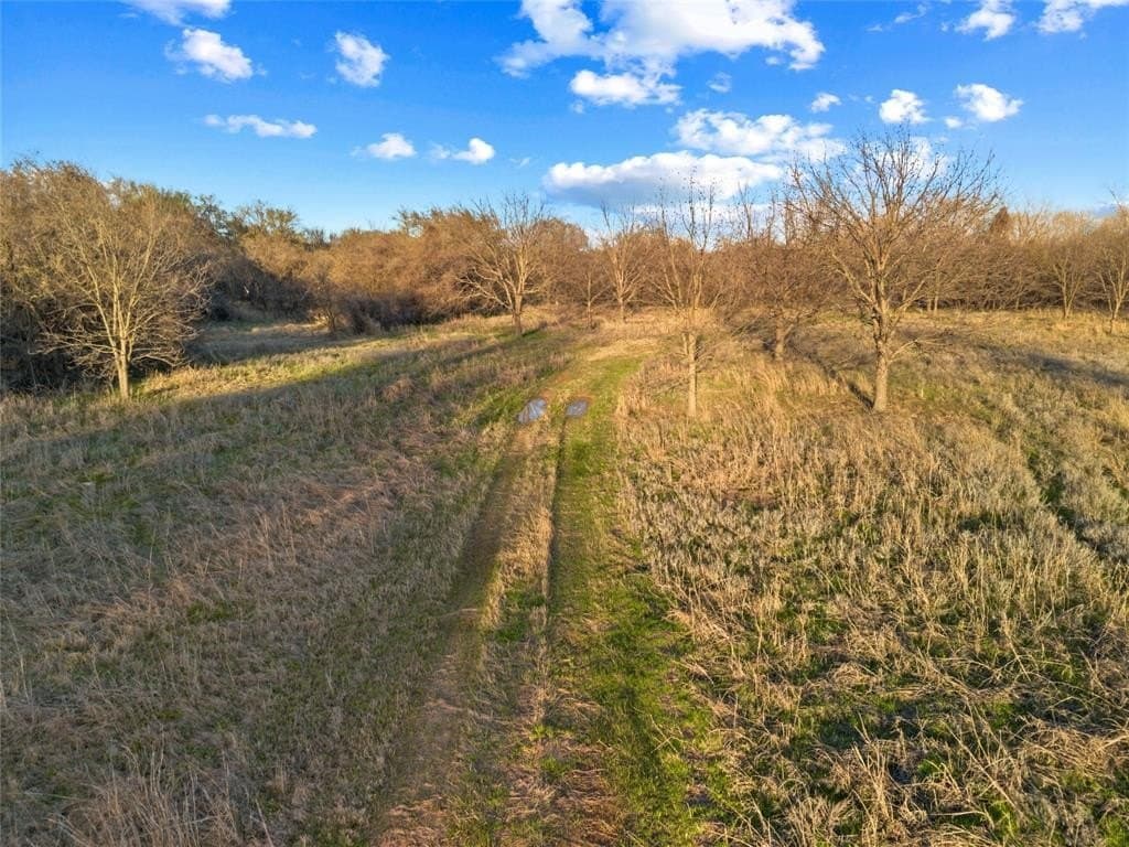 10 acres in Parker County - photo 24