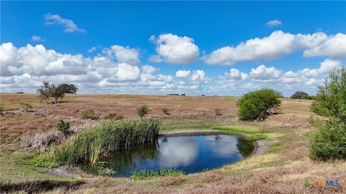 35 acres in Guadalupe County - photo 3