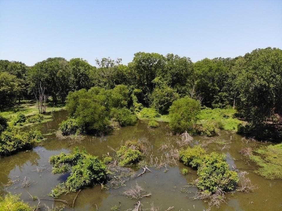 0.23 acres in Hunt County - photo 3