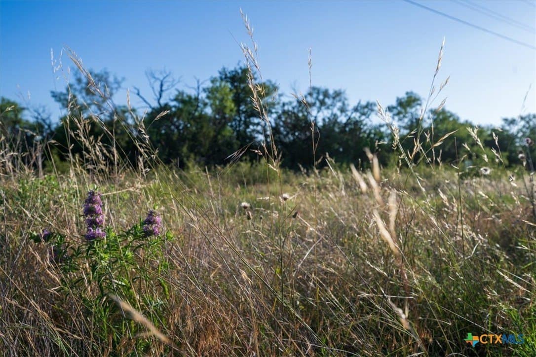 10.01 acres in Hamilton County - photo 15