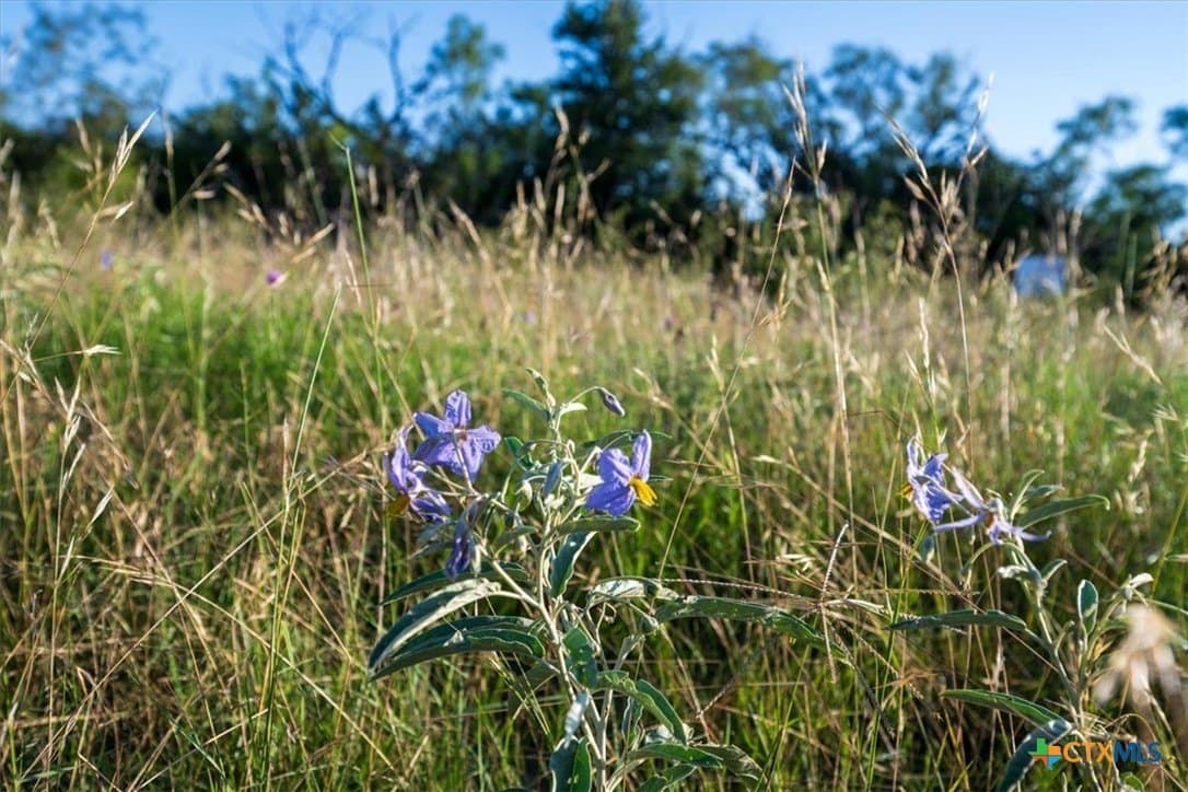 10.01 acres in Hamilton County - photo 16