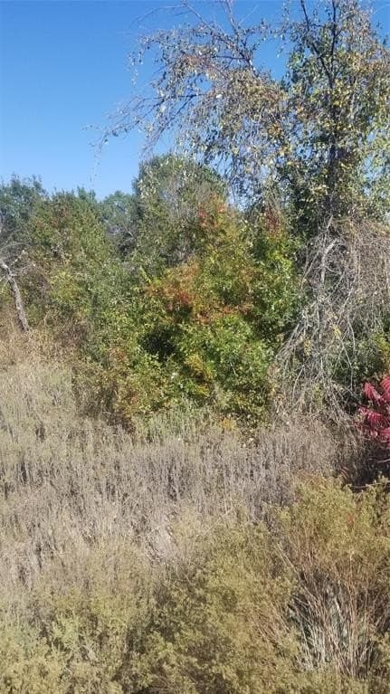 1.25 acres in Parker County - photo 2