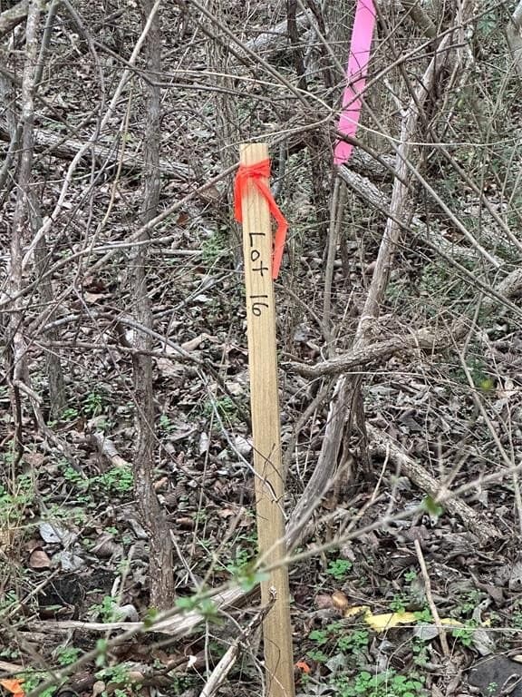 0.17 acres in Grayson County - photo 13