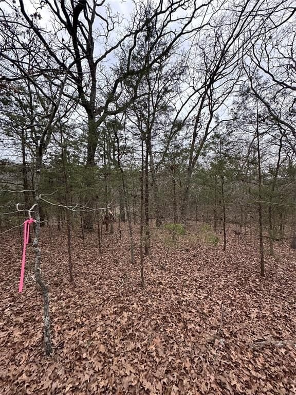 0.17 acres in Grayson County - photo 7