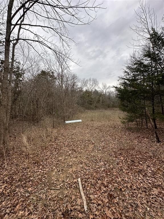 0.17 acres in Grayson County - photo 11