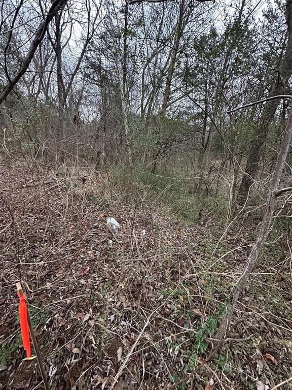 0.17 acres in Grayson County - photo 6