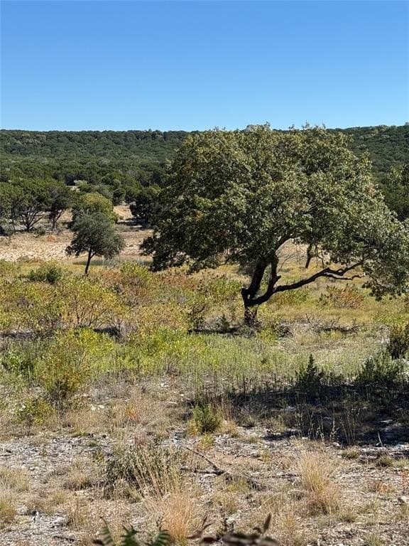 156 acres in Taylor County - photo 6
