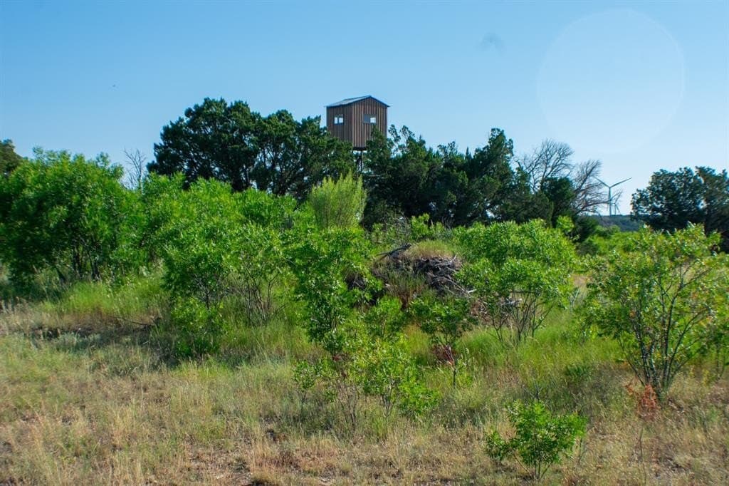 156 acres in Taylor County - photo 9