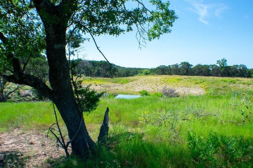 156 acres in Taylor County - photo 21