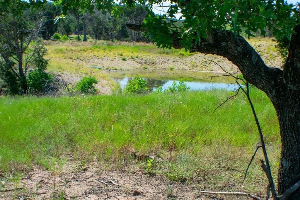 156 acres in Taylor County - photo 7