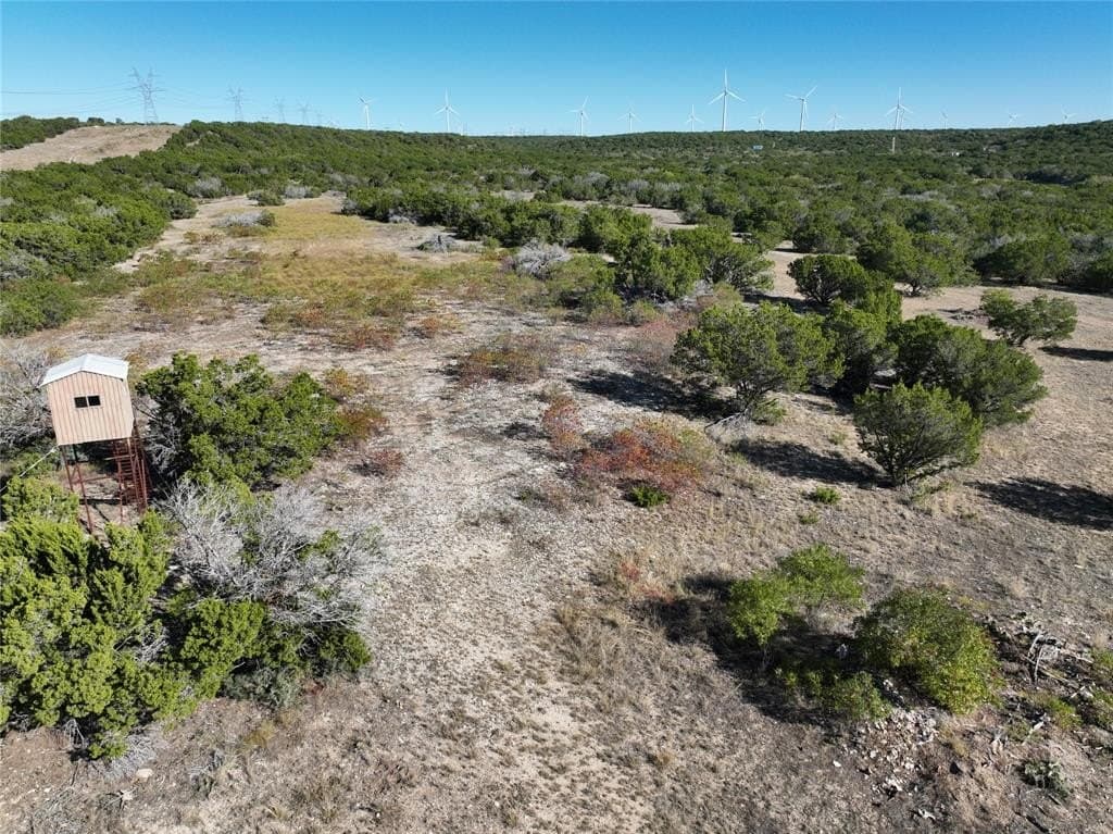 156 acres in Taylor County - photo 3