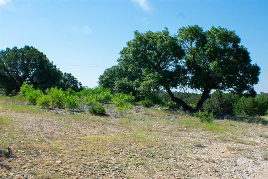 156 acres in Taylor County - photo 5