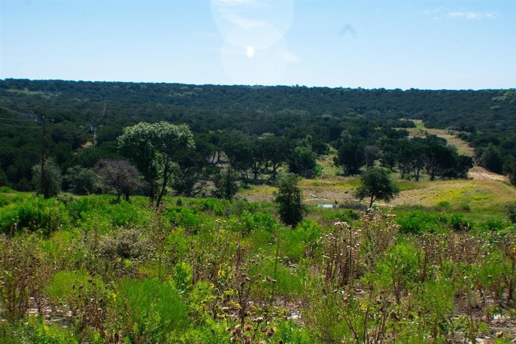 156 acres in Taylor County - photo 11