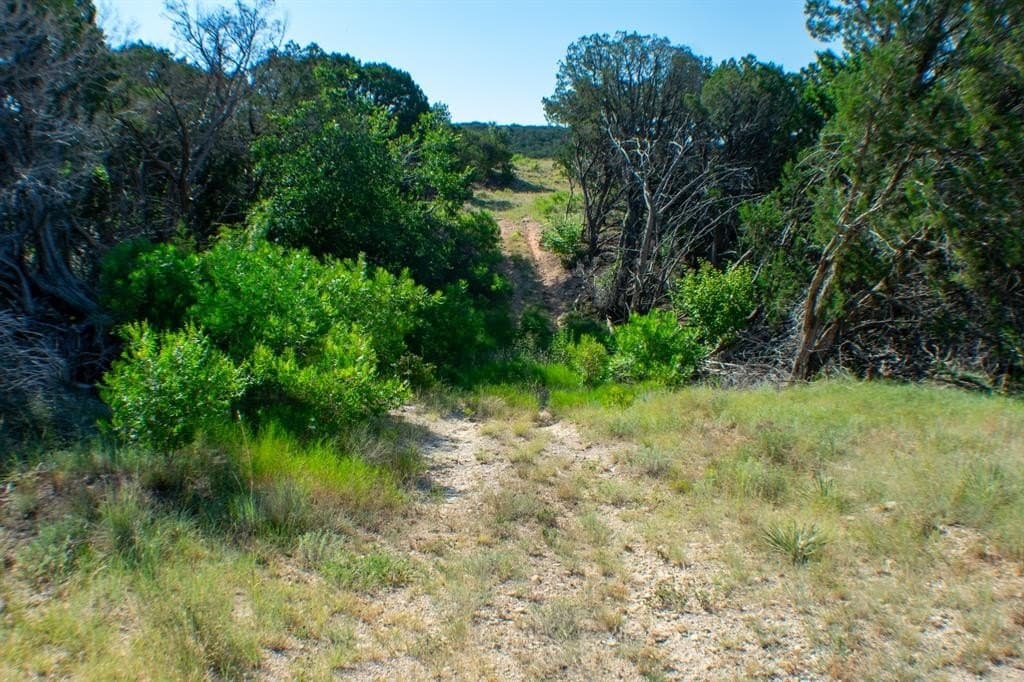 156 acres in Taylor County - photo 10
