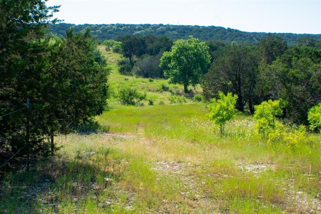 156 acres in Taylor County - photo 15