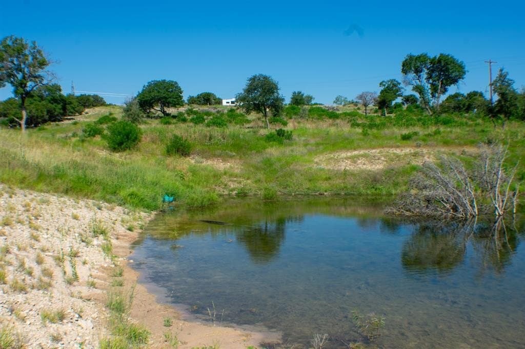 156 acres in Taylor County - photo 20